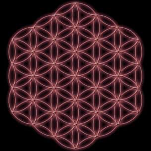 Flower Of Life (hollow)